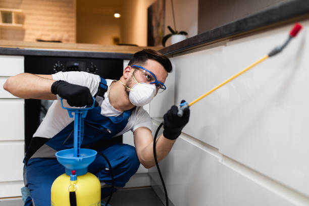 Best Best Pest Control Companies  in Richwood, LA