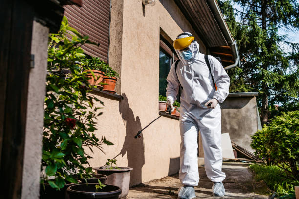 Best Pest Prevention Services  in Richwood, LA