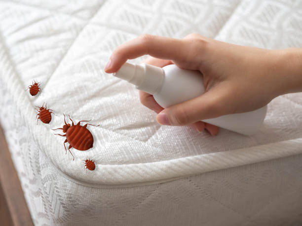 Best Flea Control Services  in Richwood, LA